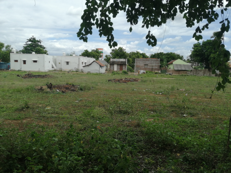  Agricultural Land 140 Cent for Sale in Karuppayurani, Madurai