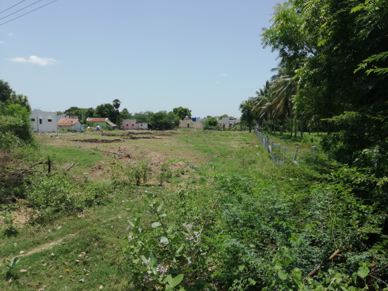  Agricultural Land 140 Cent for Sale in Karuppayurani, Madurai