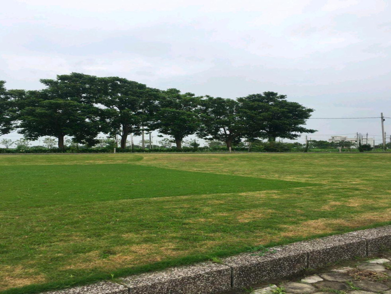  Residential Plot 1130 Sq.ft. for Sale in Ujjain Road, Indore