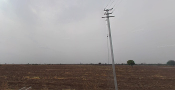  Agricultural Land for Sale in Daryapur Banosa, Amravati