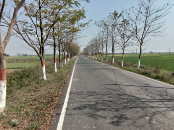  Residential Plot for Sale in Bihta, Patna