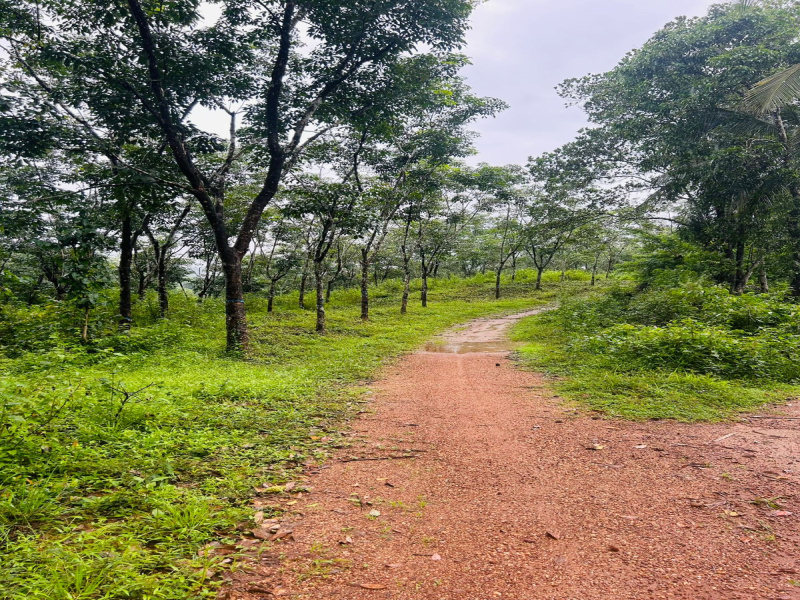  Residential Plot 4 Acre for Sale in Sulya, Dakshin Kannad