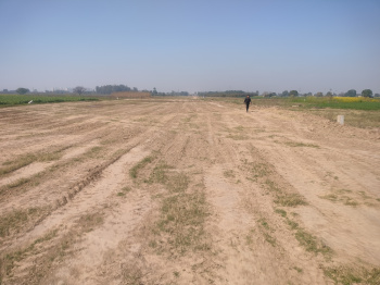  Agricultural Land for Sale in Airport Road, Mohali