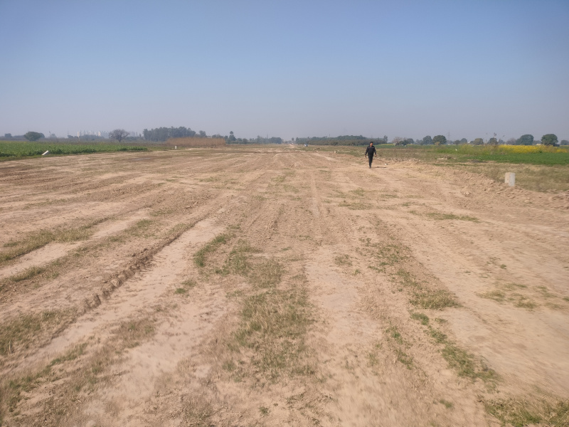  Agricultural Land 5 Acre for Sale in Airport Road, Airport Road, Mohali