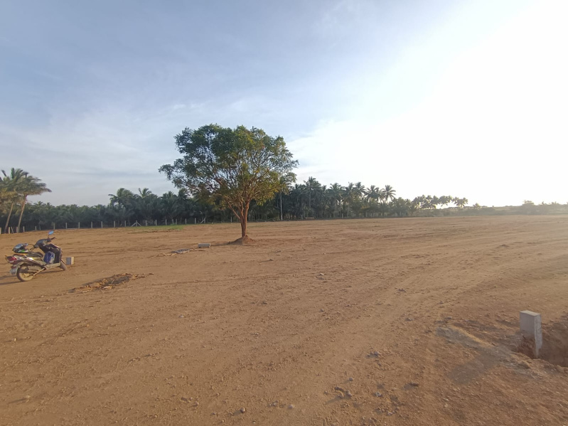  Residential Plot 9600 Sq.ft. for Sale in Chettipalayam, Coimbatore