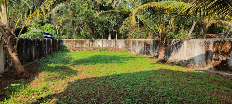  Residential Plot 360 Ares for Sale in Kayamkulam, Alappuzha