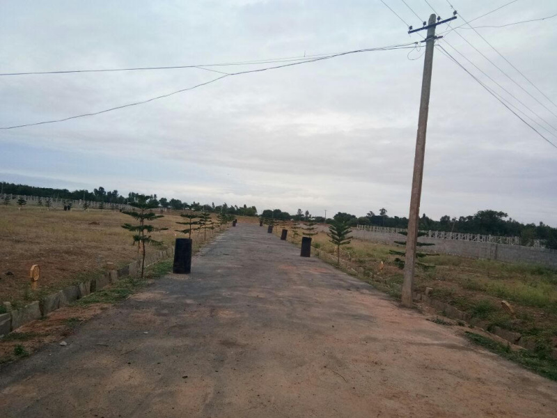  Residential Plot 34 Guntha for Sale in Jangamakote, Bangalore