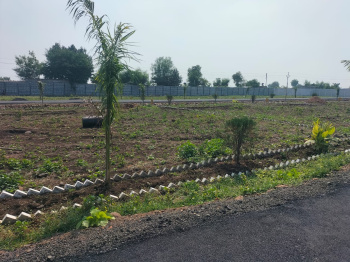  Residential Plot for Sale in Borkhedi, Nagpur