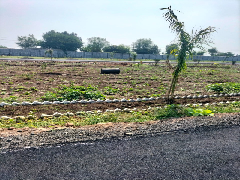  Residential Plot 2000 Sq.ft. for Sale in Borkhedi, Nagpur