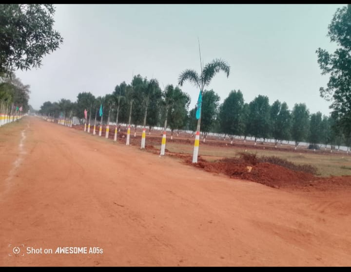  Residential Plot 250 Sq.ft. for Sale in Vatluru, Eluru