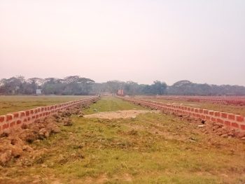  Residential Plot for Sale in Ranga Bazar, Bhubaneswar