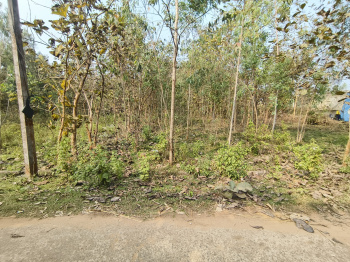  Agricultural Land for Sale in Padmanabham, Visakhapatnam