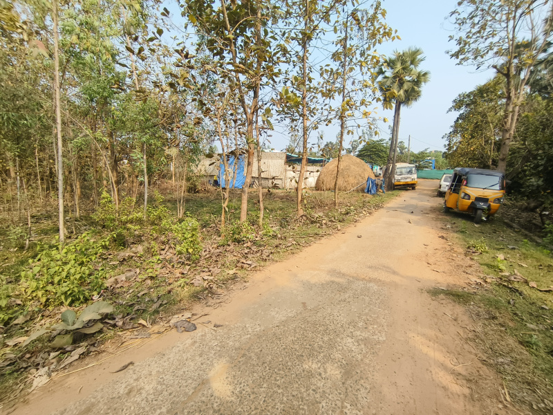  Agricultural Land 12 Sq.ft. for Sale in Padmanabham, Visakhapatnam