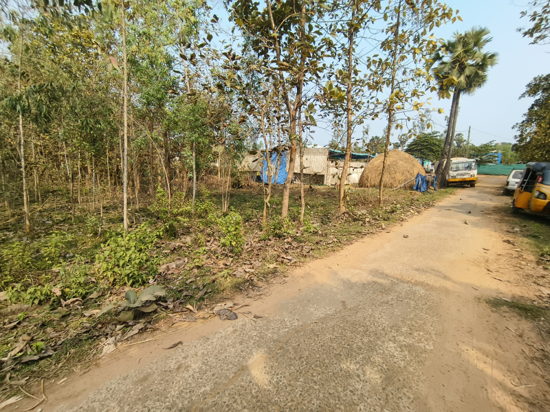  Agricultural Land 12 Sq.ft. for Sale in Padmanabham, Visakhapatnam