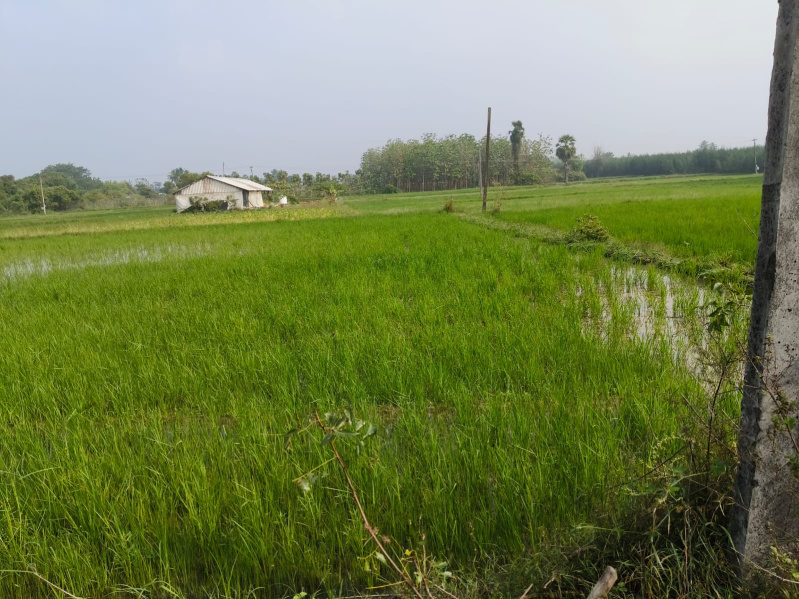  Agricultural Land 450 Cent for Sale in Olakkur, Villupuram