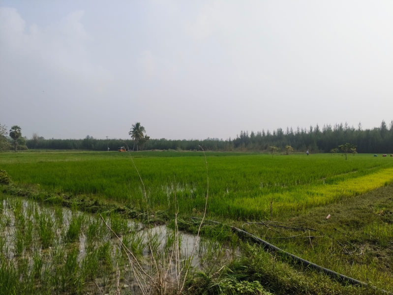  Agricultural Land 450 Cent for Sale in Olakkur, Villupuram