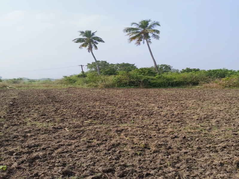  Agricultural Land 450 Cent for Sale in Olakkur, Villupuram