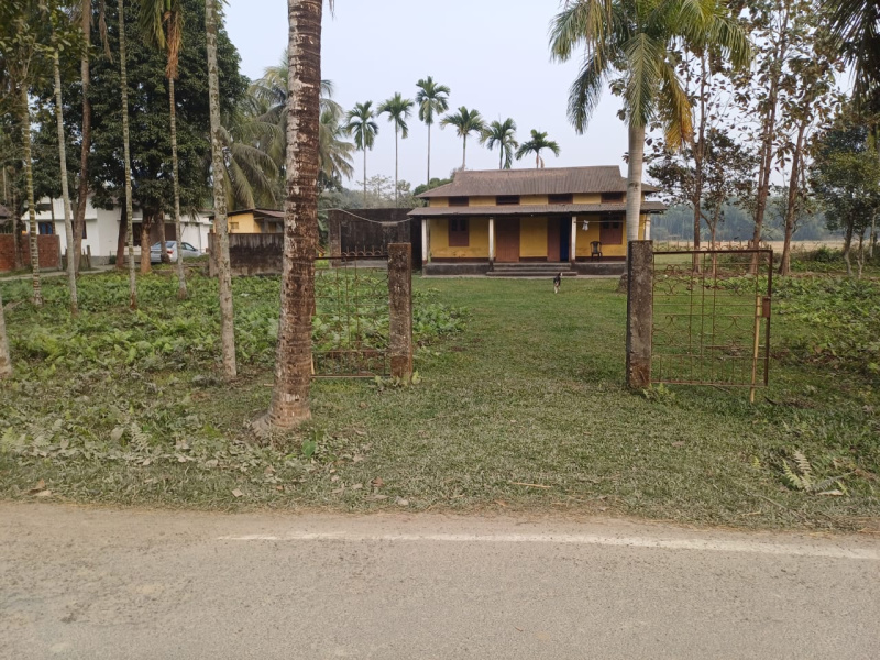  Residential Plot 35280 Sq.ft. for Sale in Sarbhog, Barpeta