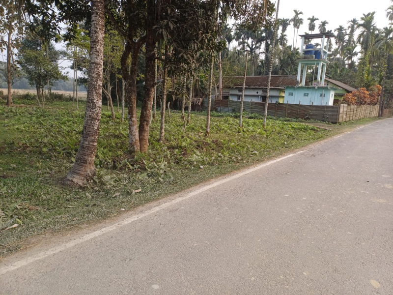  Residential Plot 35280 Sq.ft. for Sale in Sarbhog, Barpeta