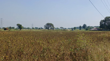  Agricultural Land for Sale in Shahpur, Betul