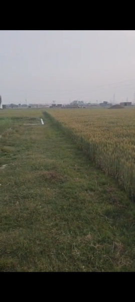  19040 Sq.ft. Commercial Land for Sale in Ramnagar, Varanasi