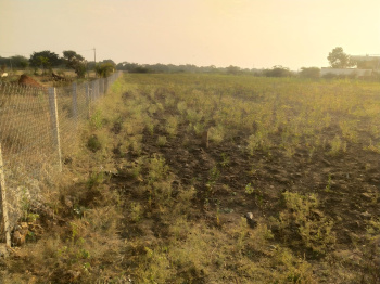  Agricultural Land for Sale in Narayanpet, Mahbubnagar