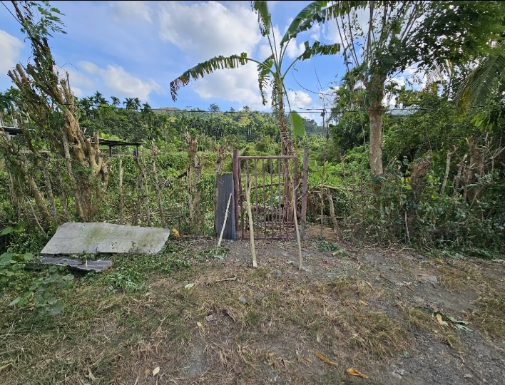  Residential Plot 1000 Sq. Meter for Sale in Rangat, Andaman