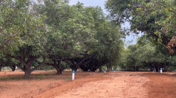  Agricultural Land for Sale in Alagar Kovil Road, Madurai