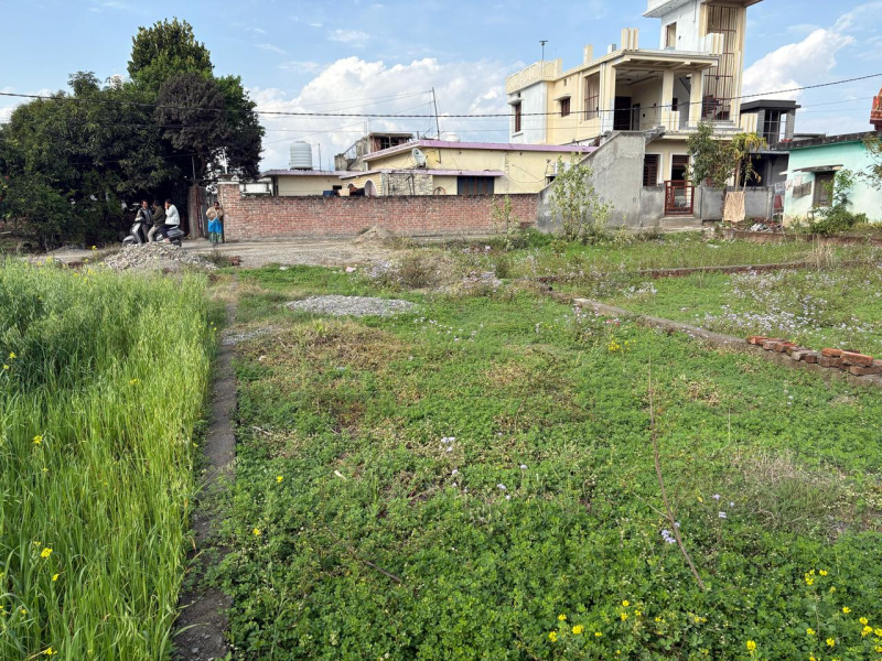  Residential Plot 1444 Sq.ft. for Sale in Arya Nagar, Bhaniawala, Dehradun