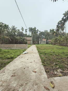  Residential Plot for Sale in Nebadhai Duttapukur, North 24 Parganas