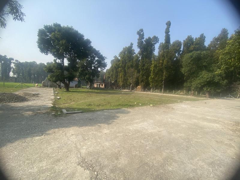  Residential Plot 200 Sq. Yards for Sale in Sahaspur, Dehradun