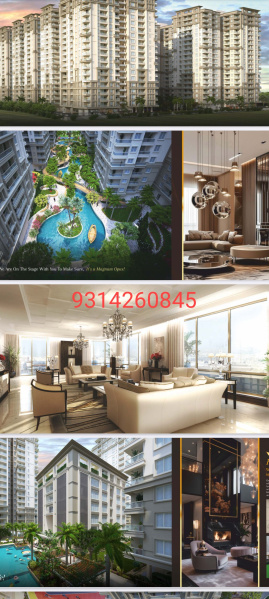 4 BHK Apartment 2100 Sq.ft. for Sale in Mangyawas, Jaipur