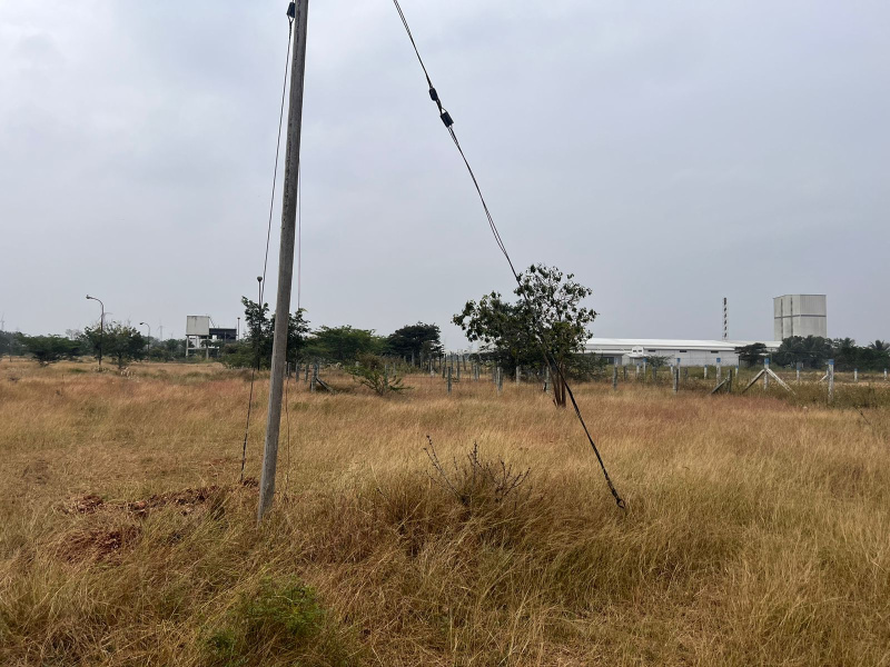  Residential Plot 2400 Sq.ft. for Sale in Pappampatti, Coimbatore