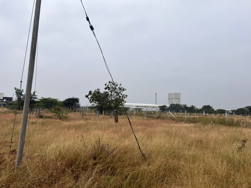  Residential Plot 2400 Sq.ft. for Sale in Pappampatti, Coimbatore