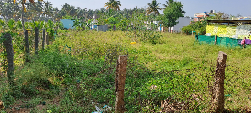  Residential Plot 15244 Sq.ft. for Sale in Cumbum, Theni