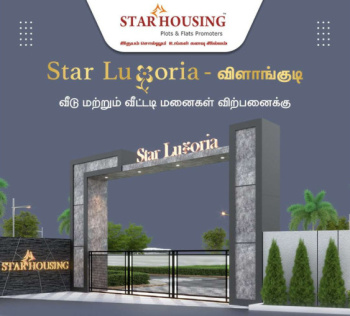  Residential Plot for Sale in Vilangudi, Madurai