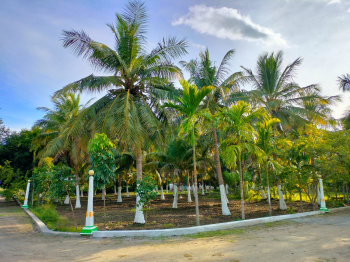  Agricultural Land for Sale in Vittilapuram, Chengalpattu