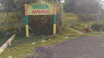  Residential Plot for Sale in Padappai, Chennai