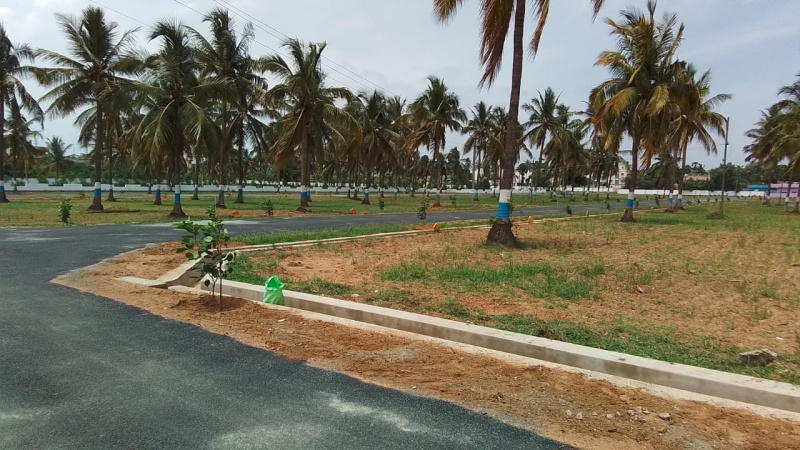  Commercial Land 200 Sq.ft. for Sale in Pydibhimavaram, Srikakulam