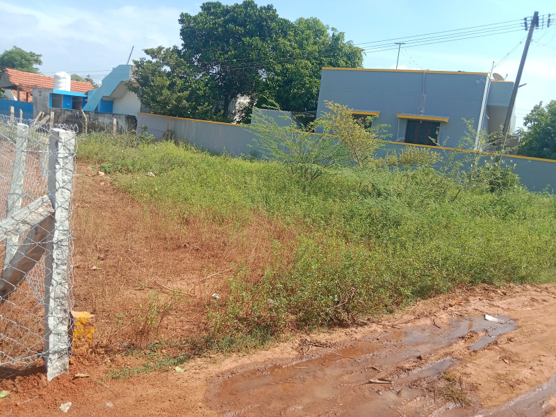  Residential Plot 2240 Sq.ft. for Sale in Kallal, Sivaganga