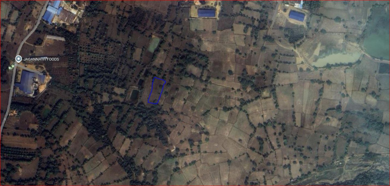  Agricultural Land 1 Acre for Sale in Kesinga, Kalahandi