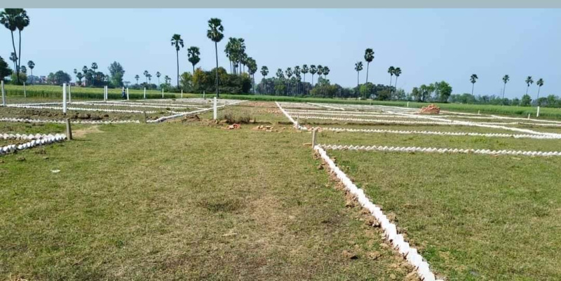  Residential Plot 1000 Sq.ft. for Sale in Bihta, Patna