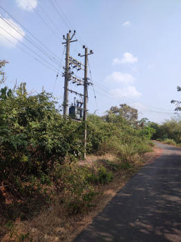  Residential Plot for Sale in Pernem, Goa