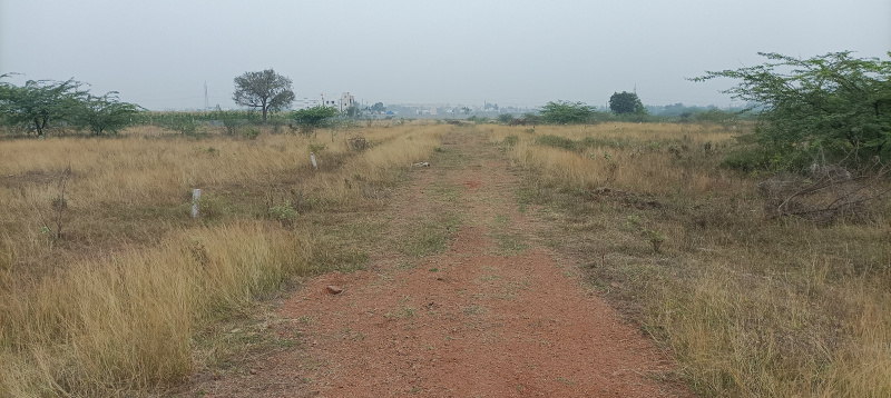  Residential Plot 6 Cent for Sale in Nandikotkur Road, Nandikotkur Road, Kurnool