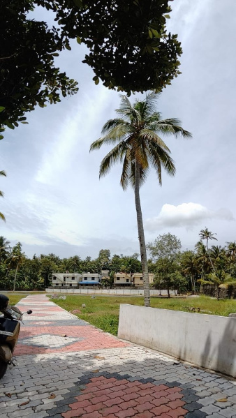  Residential Plot 6 Cent for Sale in Kesavadasapuram, Thiruvananthapuram