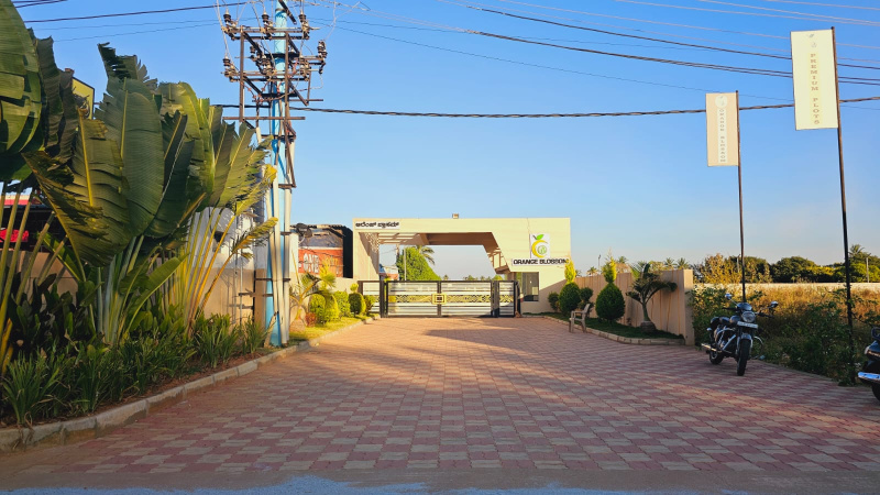  Residential Plot 1200 Sq.ft. for Sale in Devanahalli, Bangalore