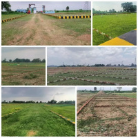  Residential Plot for Sale in Kanhauli, Bihta, Patna