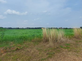  Residential Plot for Sale in New Railway Station, Bhubaneswar