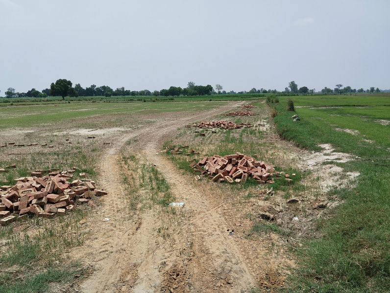  Agricultural Land 1 Acre for Sale in Barsana, Mathura