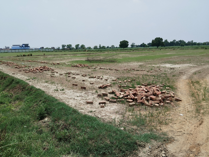  Agricultural Land 1 Acre for Sale in Barsana, Mathura